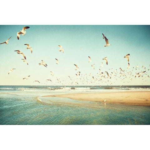 Freedom Black Modern Wood Framed Art Print by Cochrane, Carolyn