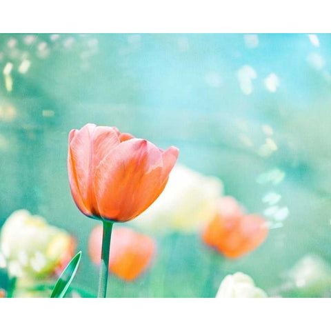 Garden of Dreams White Modern Wood Framed Art Print by Cochrane, Carolyn