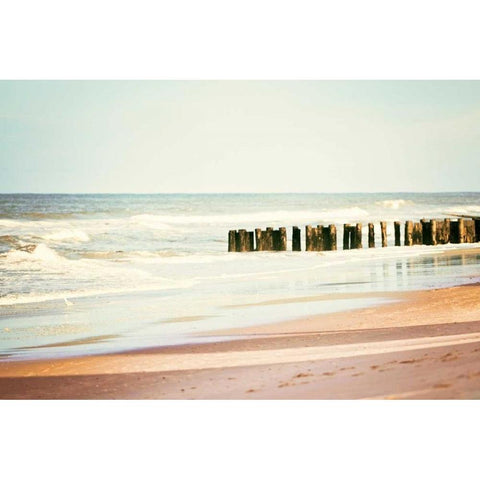 Shore Days Black Modern Wood Framed Art Print with Double Matting by Cochrane, Carolyn