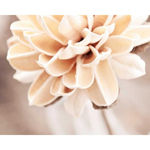 Touched By an Angel Black Modern Wood Framed Art Print with Double Matting by Cochrane, Carolyn