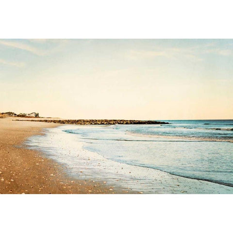 Walking on the Coast Gold Ornate Wood Framed Art Print with Double Matting by Cochrane, Carolyn