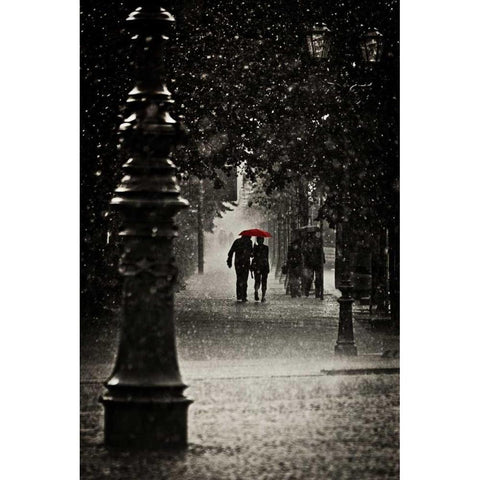 Fragments of Water Black Modern Wood Framed Art Print by Corso, Stefano