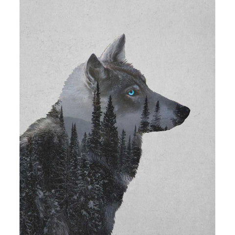 Winter Wolf White Modern Wood Framed Art Print by Davies Babies