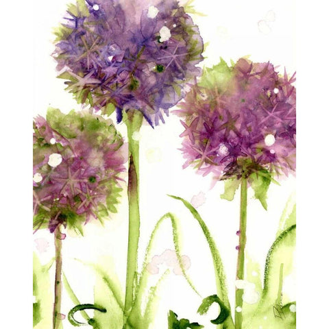 Alliums Black Modern Wood Framed Art Print by Derman, Dawn