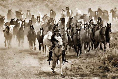 Heading Home White Modern Wood Framed Art Print with Double Matting by Dearing, Lisa