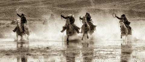 Splash Dance II White Modern Wood Framed Art Print with Double Matting by Dearing, Lisa