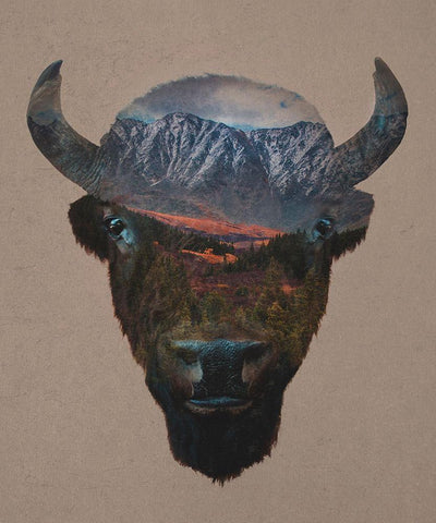 Bison Peak Black Ornate Wood Framed Art Print with Double Matting by Davies Babies