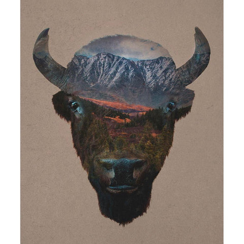Bison Peak Black Modern Wood Framed Art Print by Davies Babies