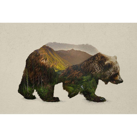 North American Brown Bear Black Modern Wood Framed Art Print by Davies Babies