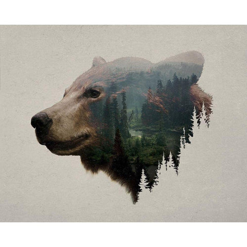 Pacific Northwest Black Bear Black Modern Wood Framed Art Print by Davies Babies