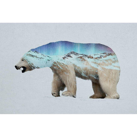 The Arctic Polar Bear Black Modern Wood Framed Art Print by Davies Babies