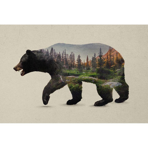 The North American Black Bear Black Modern Wood Framed Art Print by Davies Babies
