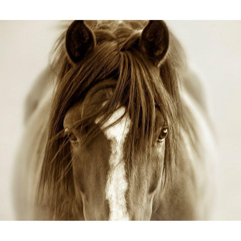 Ghost Horse White Modern Wood Framed Art Print by Dearing, Lisa