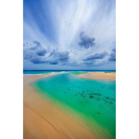 Emerald Dreams Gold Ornate Wood Framed Art Print with Double Matting by Davis, Lizzy