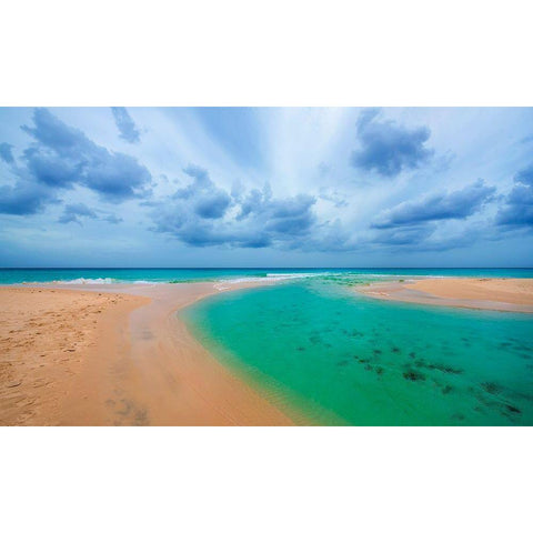 Emerald Seas Black Modern Wood Framed Art Print with Double Matting by Davis, Lizzy