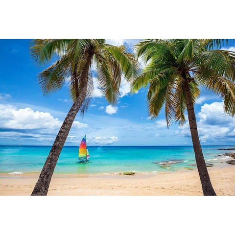 Postcard From Paradise Black Modern Wood Framed Art Print by Davis, Lizzy