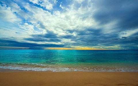 The Last Light Black Ornate Wood Framed Art Print with Double Matting by Davis, Lizzy