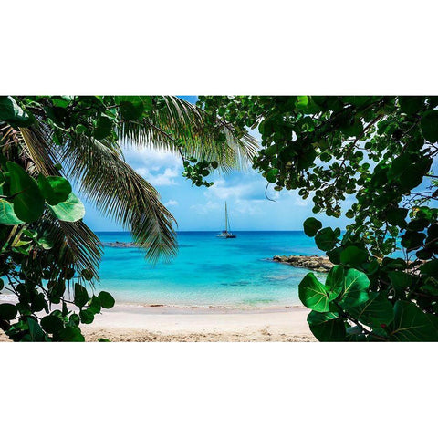 Window to Paradise White Modern Wood Framed Art Print by Davis, Lizzy