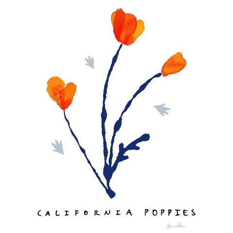 California Poppies White Modern Wood Framed Art Print by Donahue, Shane