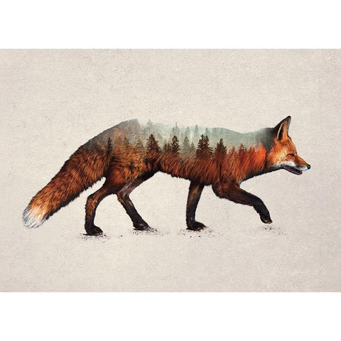 The Red Fox White Modern Wood Framed Art Print by Davies Babies