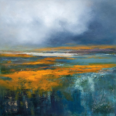 Snowbird White Modern Wood Framed Art Print with Double Matting by Dennis, Patrick