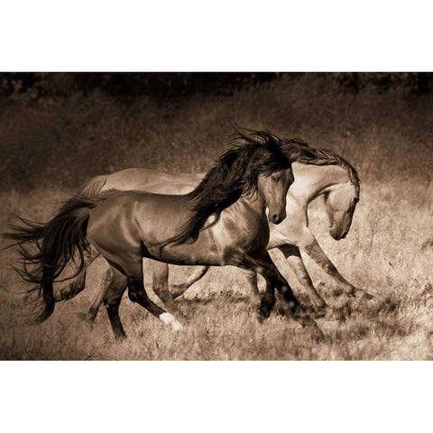 The Dance Black Modern Wood Framed Art Print with Double Matting by Dearing, Lisa