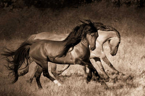 The Dance Black Ornate Wood Framed Art Print with Double Matting by Dearing, Lisa