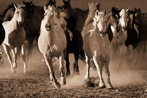 About Face White Modern Wood Framed Art Print with Double Matting by Dearing, Lisa