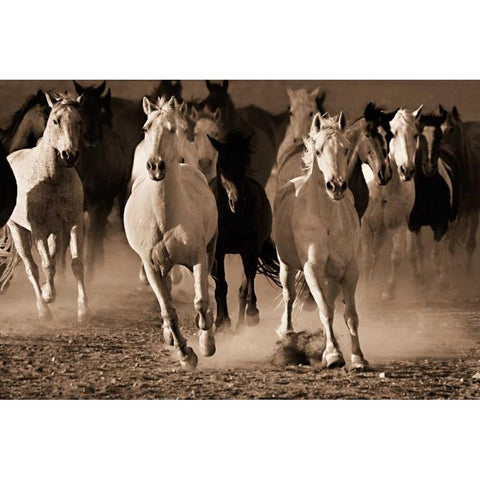 About Face Black Modern Wood Framed Art Print by Dearing, Lisa