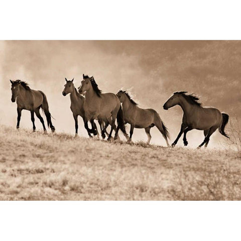 Kicking Dust Black Modern Wood Framed Art Print by Dearing, Lisa