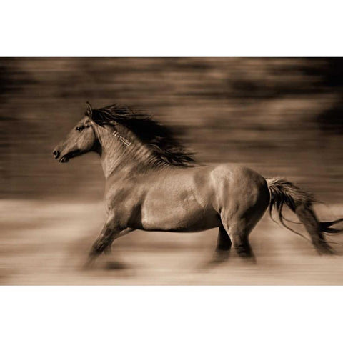 Wind Runner White Modern Wood Framed Art Print by Dearing, Lisa