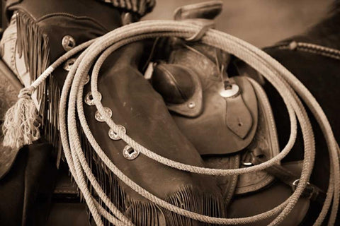 Cowgirls Lasso White Modern Wood Framed Art Print with Double Matting by Dearing, Lisa