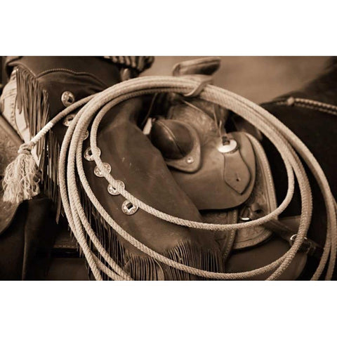 Cowgirls Lasso Black Modern Wood Framed Art Print by Dearing, Lisa