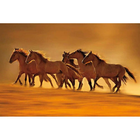 Night Runners White Modern Wood Framed Art Print by Dearing, Lisa