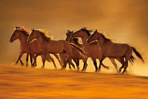 Night Runners White Modern Wood Framed Art Print with Double Matting by Dearing, Lisa