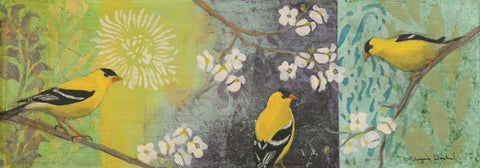 Goldfinches Blooming White Modern Wood Framed Art Print with Double Matting by Donharl, Margaret