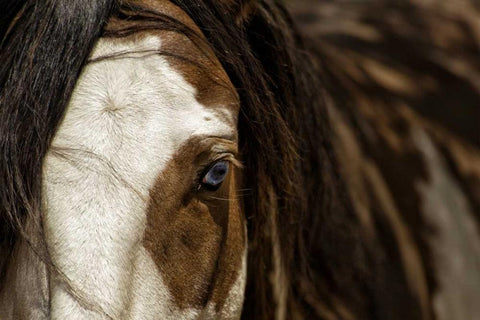 Blue White Modern Wood Framed Art Print with Double Matting by Dearing, Lisa