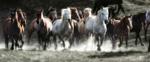 Renegades White Modern Wood Framed Art Print with Double Matting by Dearing, Lisa