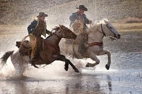 Splash Dance Black Ornate Wood Framed Art Print with Double Matting by Dearing, Lisa