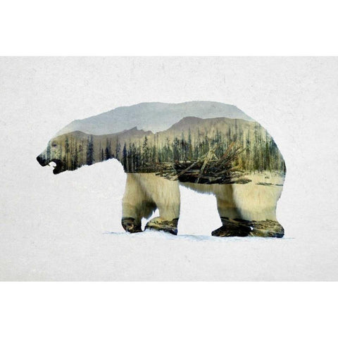 Arctic Polar Bear White Modern Wood Framed Art Print by Davies Babies