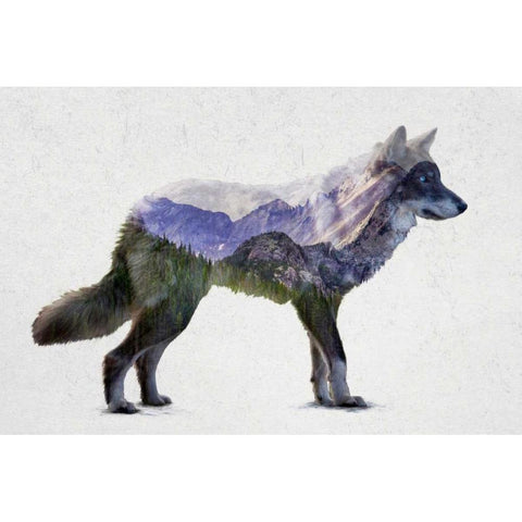 Rocky Mountain Grey Wolf White Modern Wood Framed Art Print by Davies Babies