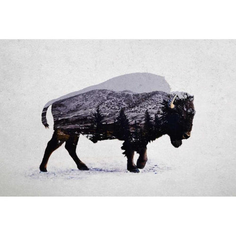 The American Bison Gold Ornate Wood Framed Art Print with Double Matting by Davies Babies