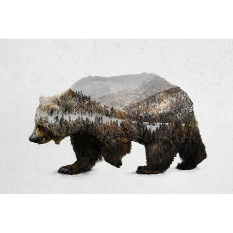 The Kodiak Brown Bear Black Modern Wood Framed Art Print by Davies Babies