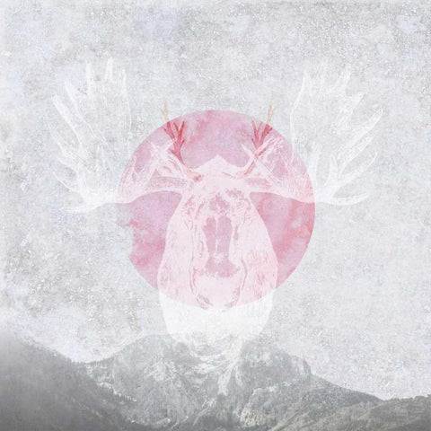 Moose 1 White Modern Wood Framed Art Print with Double Matting by Duncan-He, Louis