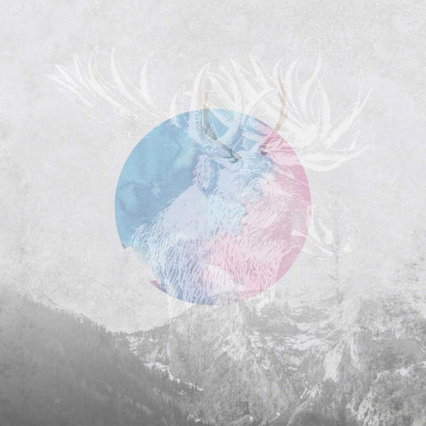 Moose 2 White Modern Wood Framed Art Print by Duncan-He, Louis