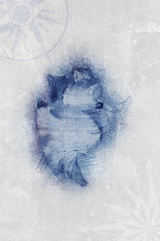 Ocean Memories 1 Black Ornate Wood Framed Art Print with Double Matting by Duncan-He, Louis