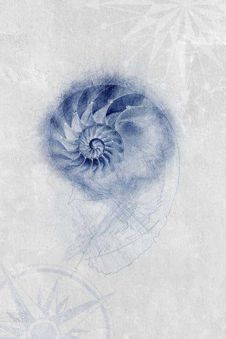 Ocean Memories 2 Black Ornate Wood Framed Art Print with Double Matting by Duncan-He, Louis