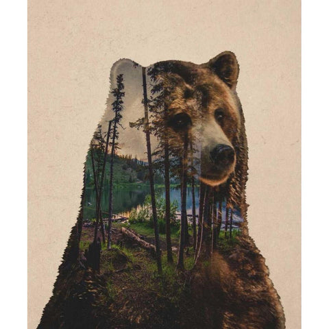 Bear Lake Black Modern Wood Framed Art Print with Double Matting by Davies Babies