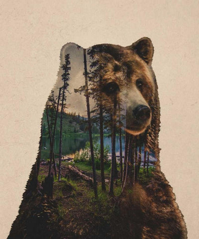 Bear Lake Black Ornate Wood Framed Art Print with Double Matting by Davies Babies