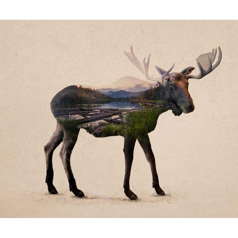 The Alaskan Bull Moose Gold Ornate Wood Framed Art Print with Double Matting by Davies Babies